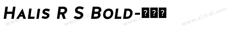 Halis R S Bold字体转换